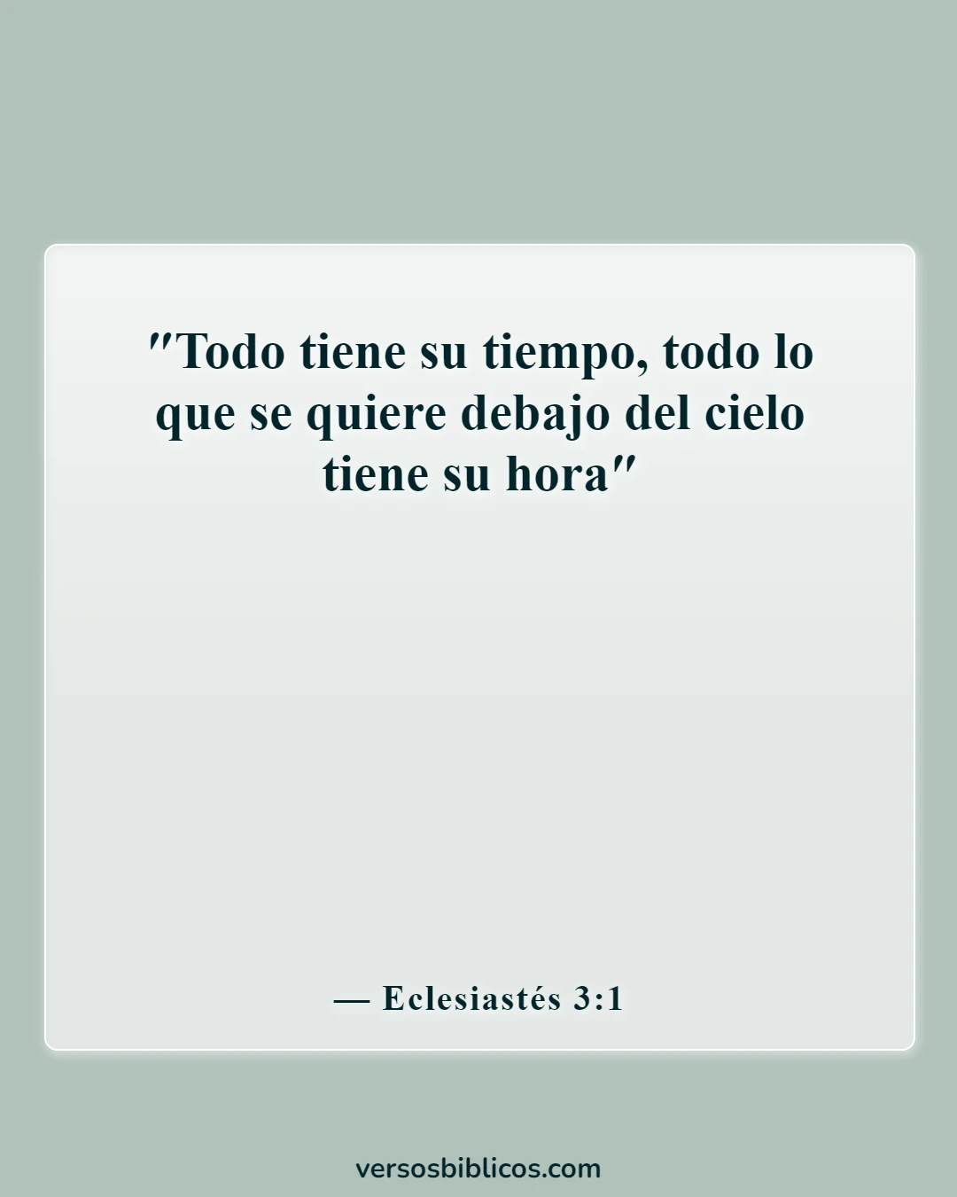 Versículos de la Biblia sobre el duelo por la pérdida de un ser querido (Eclesiastés 3:1)