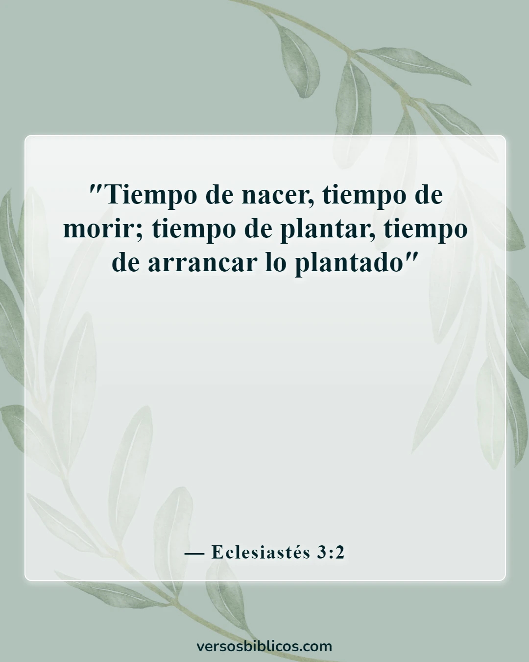 Versículos de la Biblia sobre los árboles (Eclesiastés 3:2)