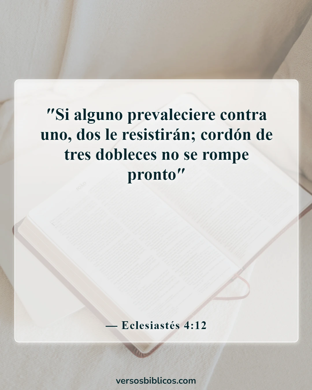 Versículos de la Biblia sobre apreciar a un amigo y el agradecimiento por los amigos (Eclesiastés 4:12)