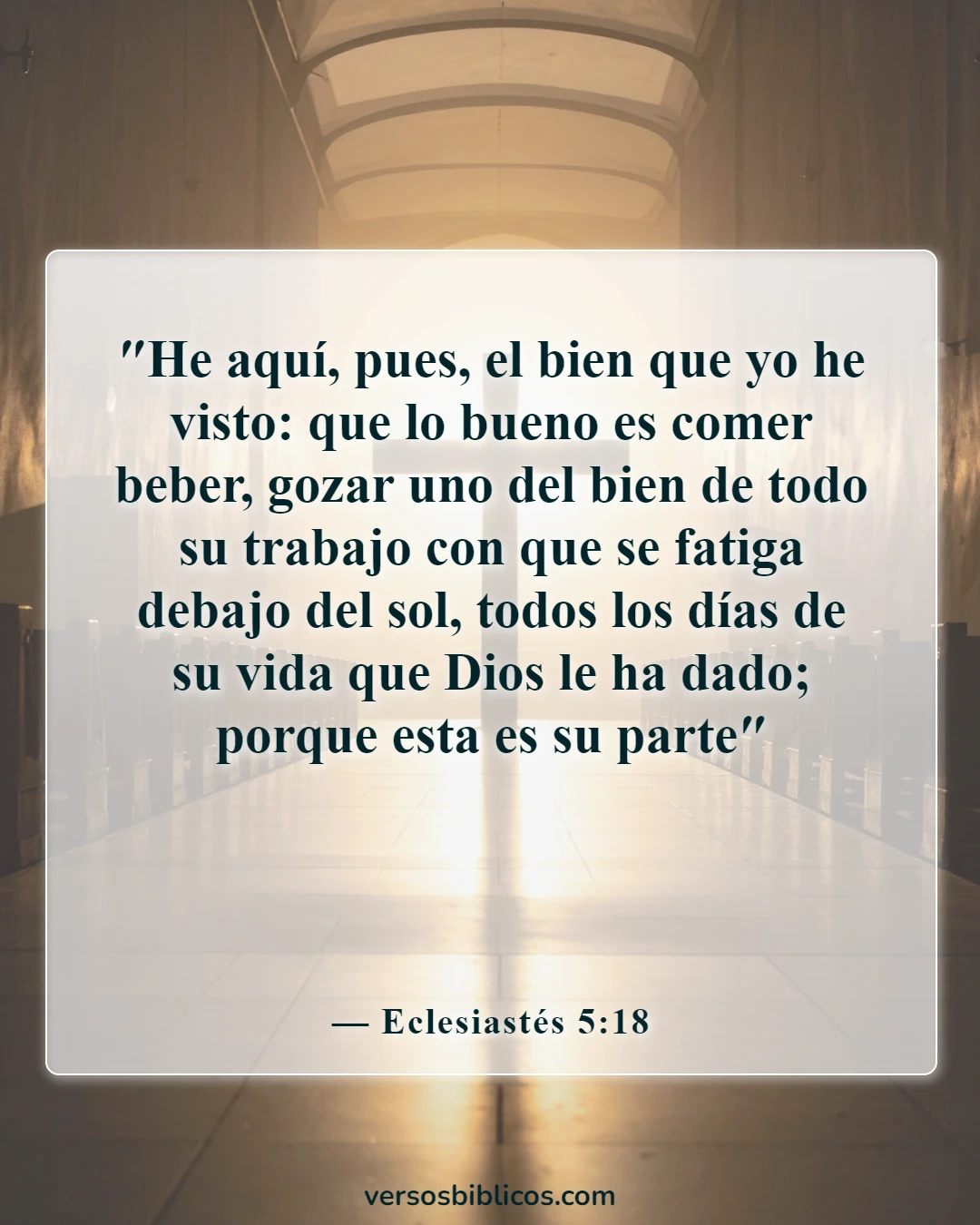 Versículos de la Biblia sobre la diversión (Eclesiastés 5:18)
