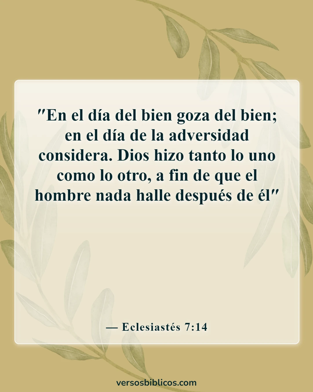 Versículos de la Biblia sobre el dolor y el sufrimiento (Eclesiastés 7:14)