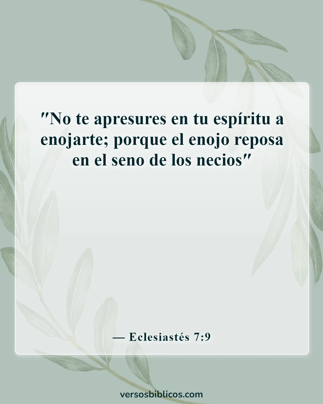 Versículos de la Biblia sobre el tonto (Eclesiastés 7:9)
