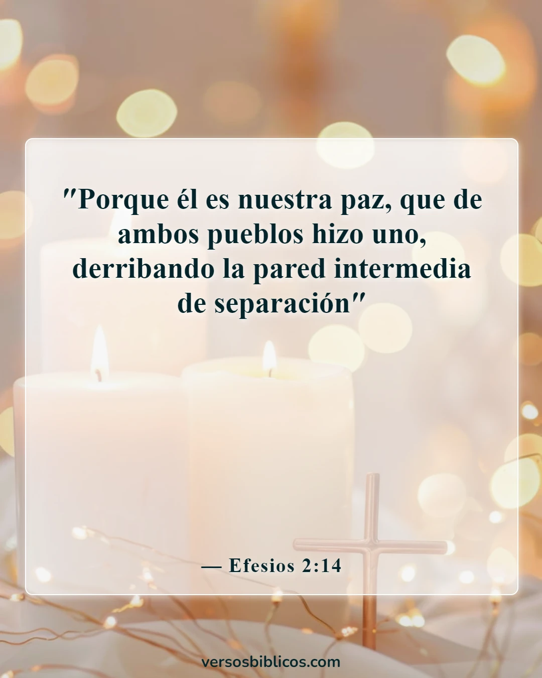 Versículos de la Biblia sobre la diversidad cultural (Efesios 2:14)
