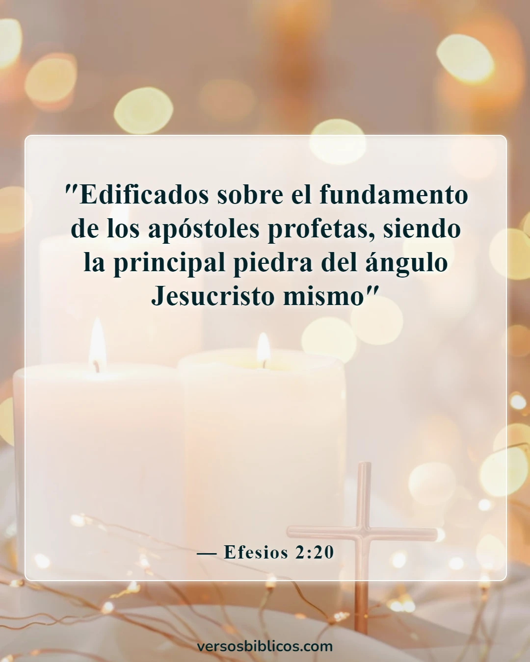 Versículos de la Biblia sobre arraigados y cimentados (Efesios 2:20)
