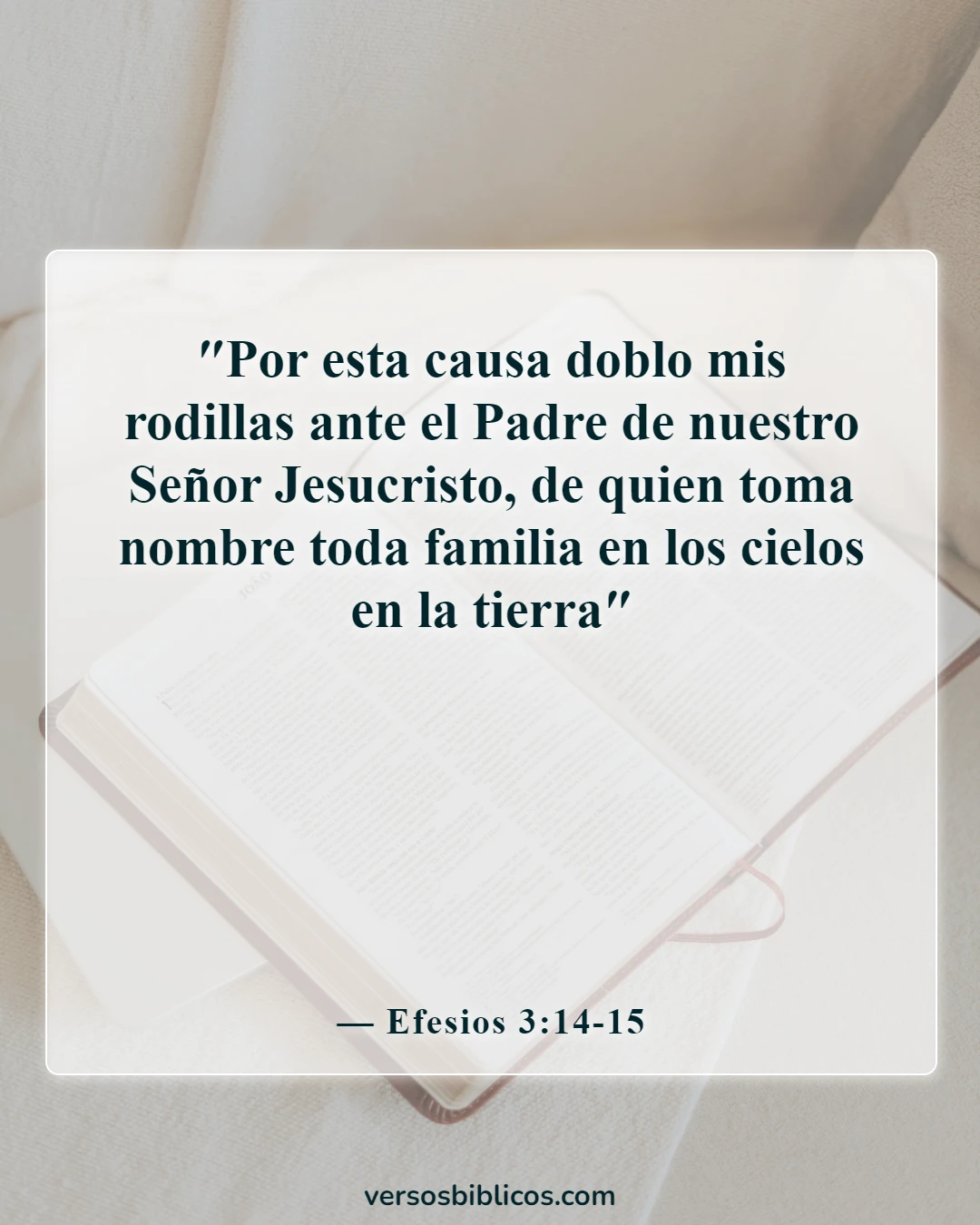 Versículos de la Biblia sobre orar y orar por los demás (Efesios 3:14-15)