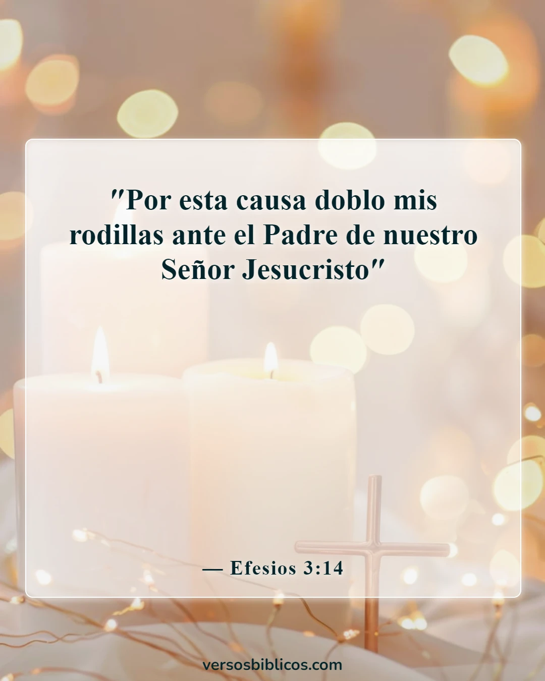 Versículos de la Biblia sobre pelear tus batallas con oración de rodillas (Efesios 3:14)