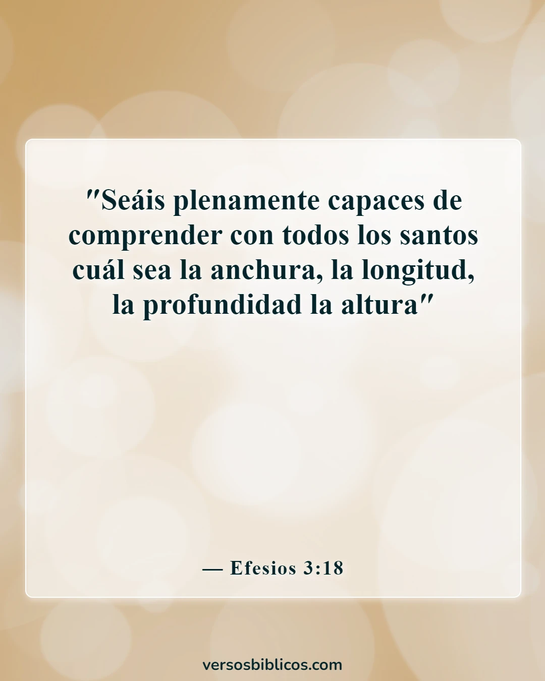 Versículos de la Biblia sobre Jesús amando a todos por igual (Efesios 3:18)
