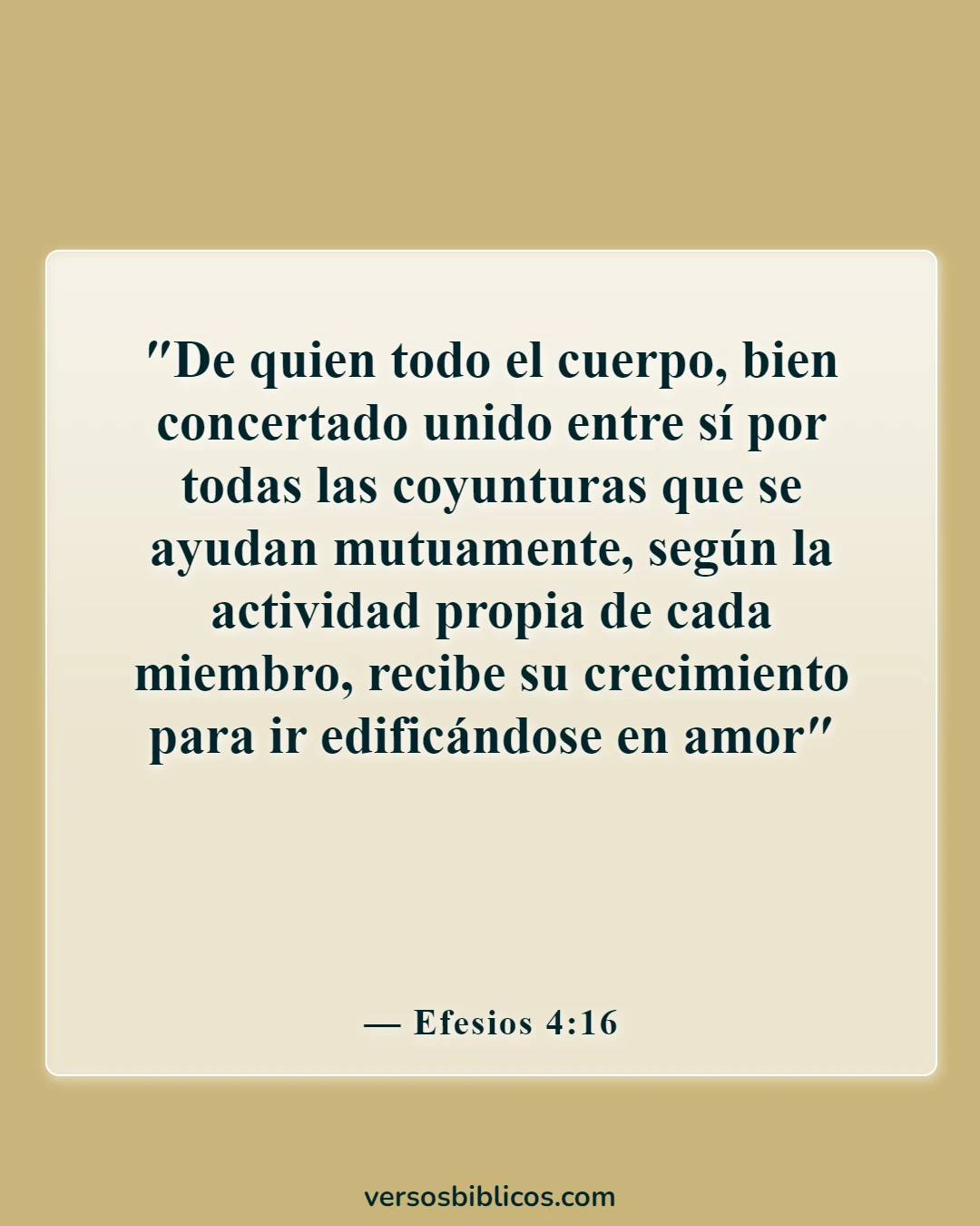 Versículos de la Biblia sobre la familia sirviendo al Señor (Efesios 4:16)