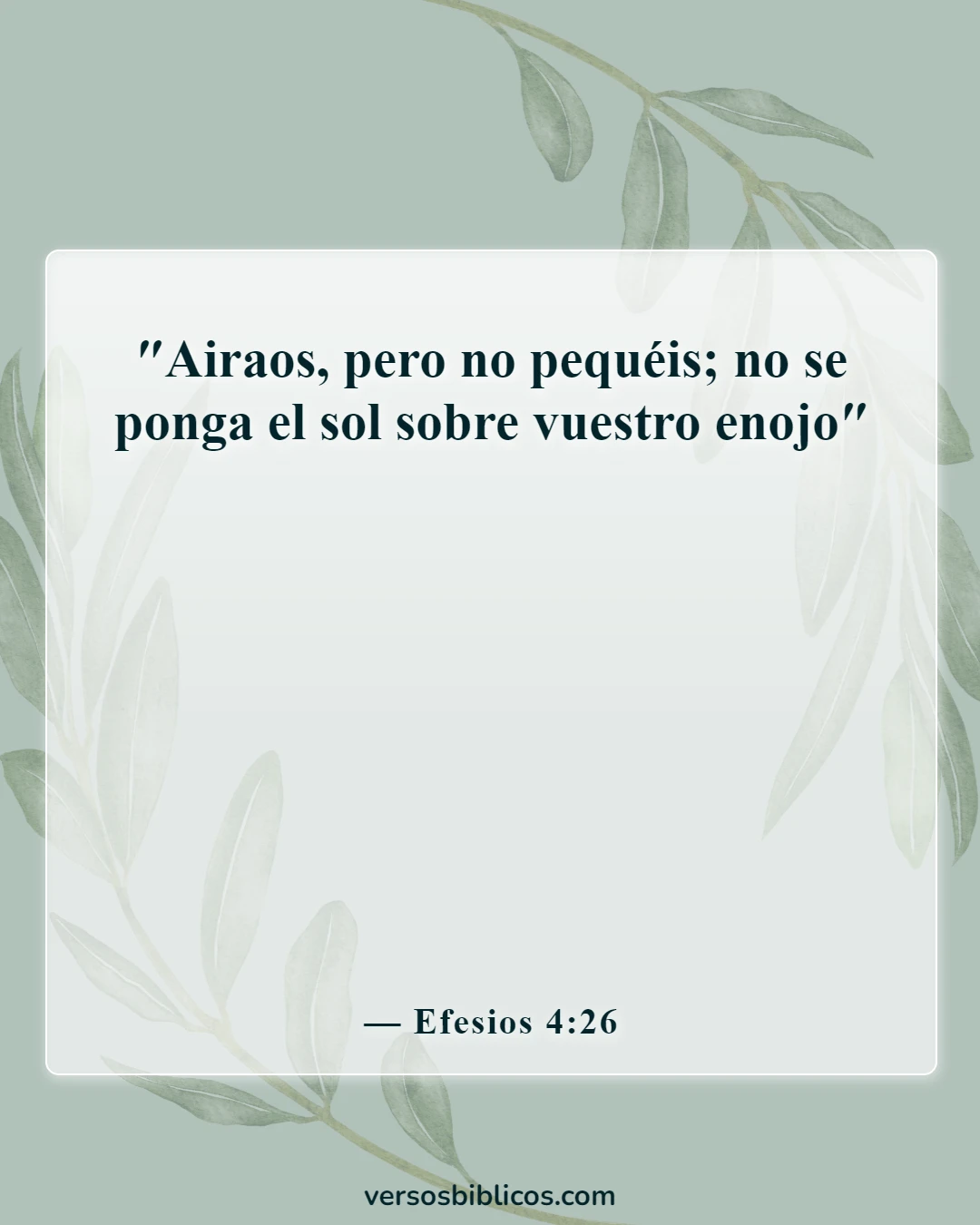 Versículos de la Biblia sobre los conflictos (Efesios 4:26)
