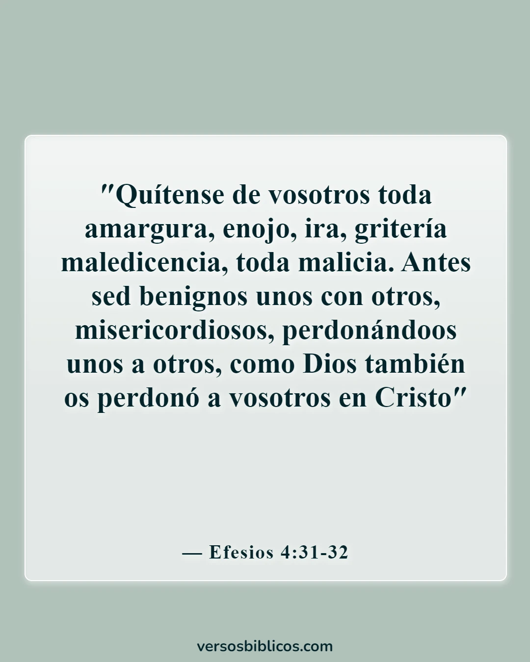 Versículos de la Biblia sobre perder amigos (Efesios 4:31-32)