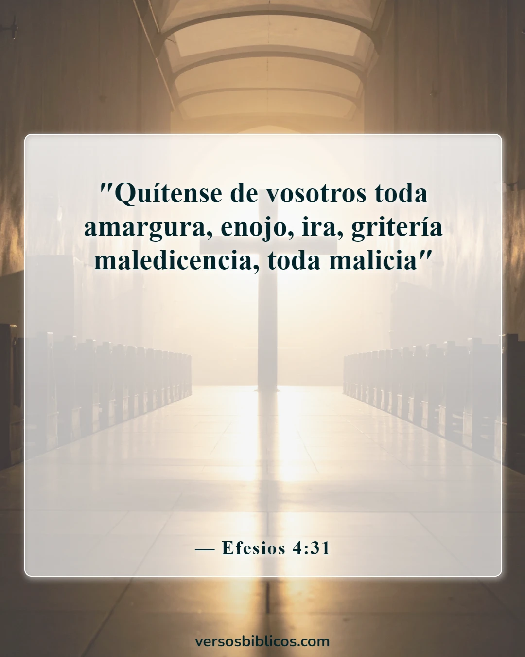Versículos de la Biblia sobre problemas de actitud (Efesios 4:31)
