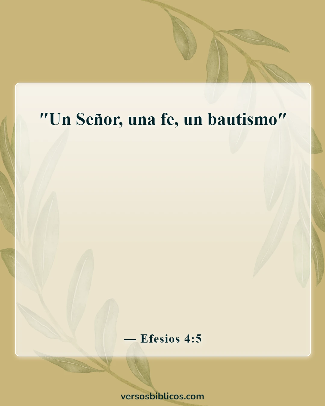 Versículos de la Biblia sobre los bautismos (Efesios 4:5)