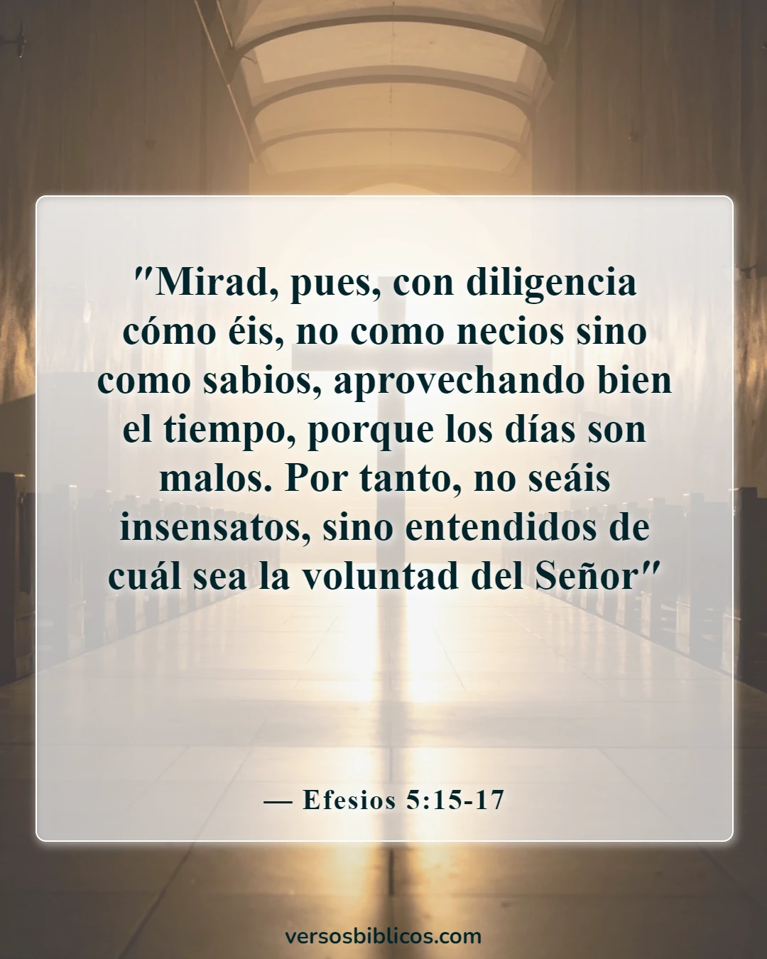 Versículos de la Biblia sobre vivir la vida con propósito (Efesios 5:15-17)