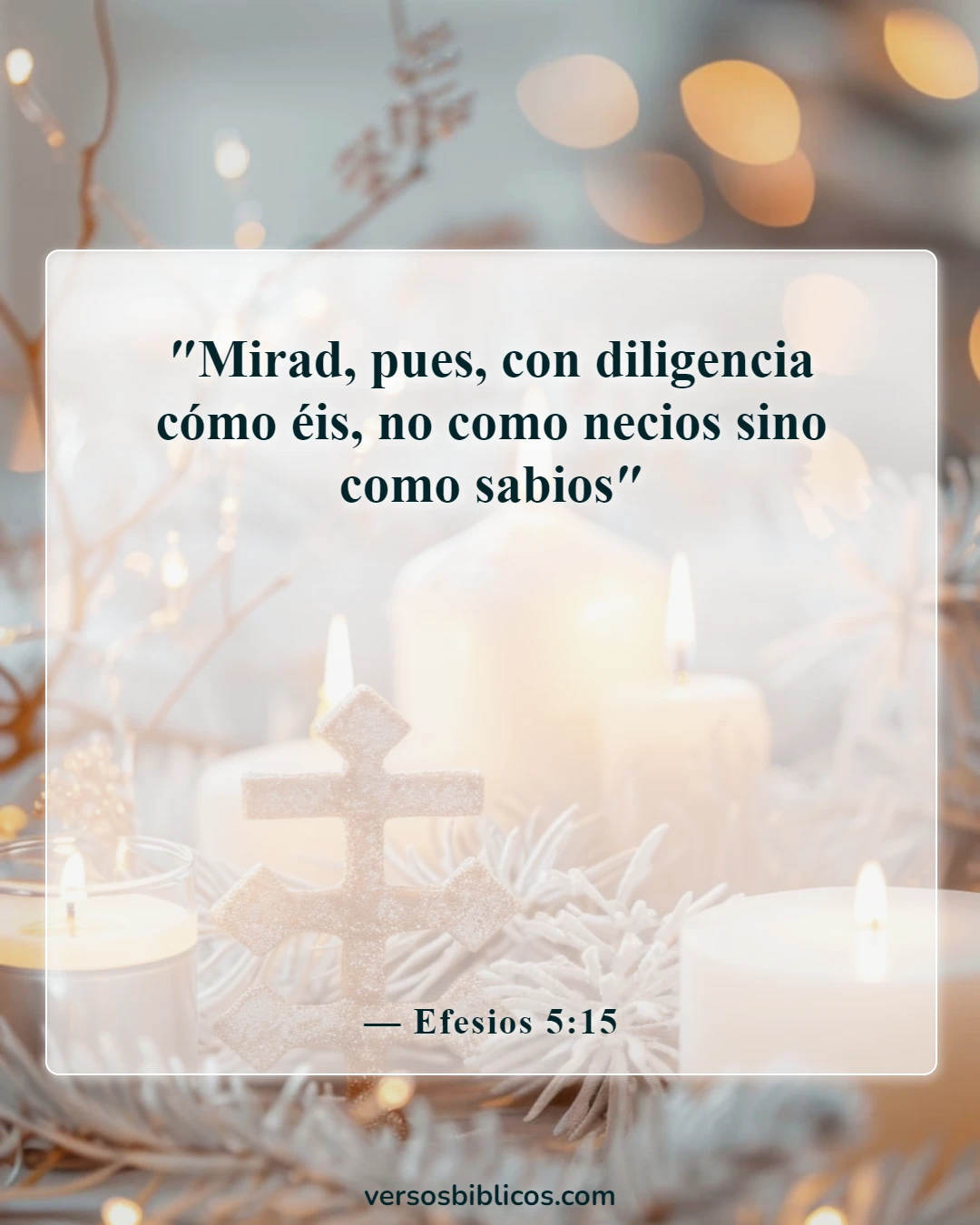 Versículos de la Biblia sobre el tonto (Efesios 5:15)
