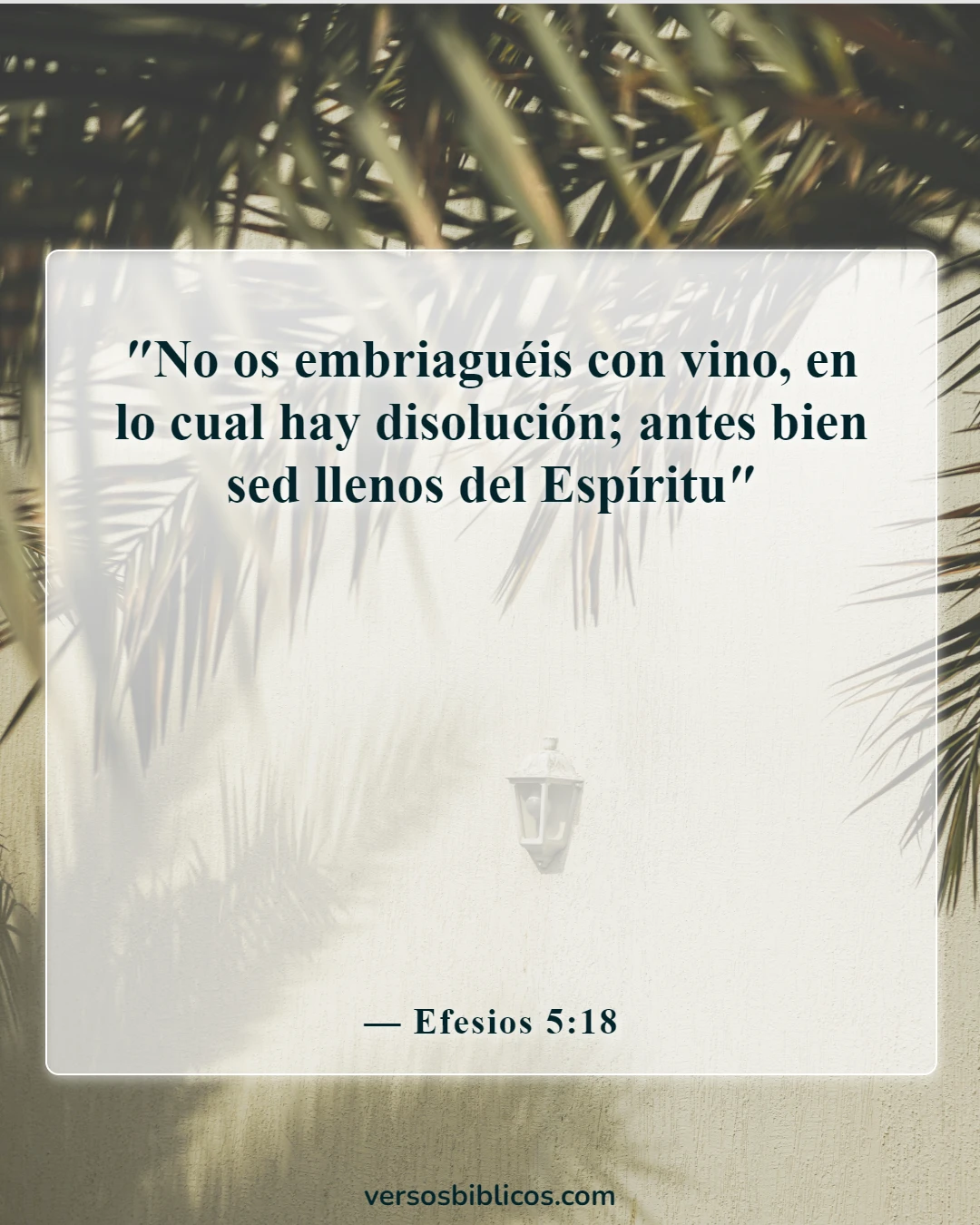 Versículos de la Biblia sobre el vino (Efesios 5:18)