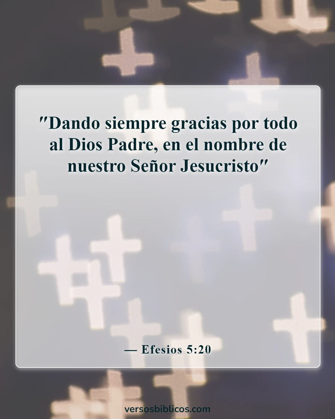 Versículos de la Biblia sobre agradecido por las pruebas (Efesios 5:20)