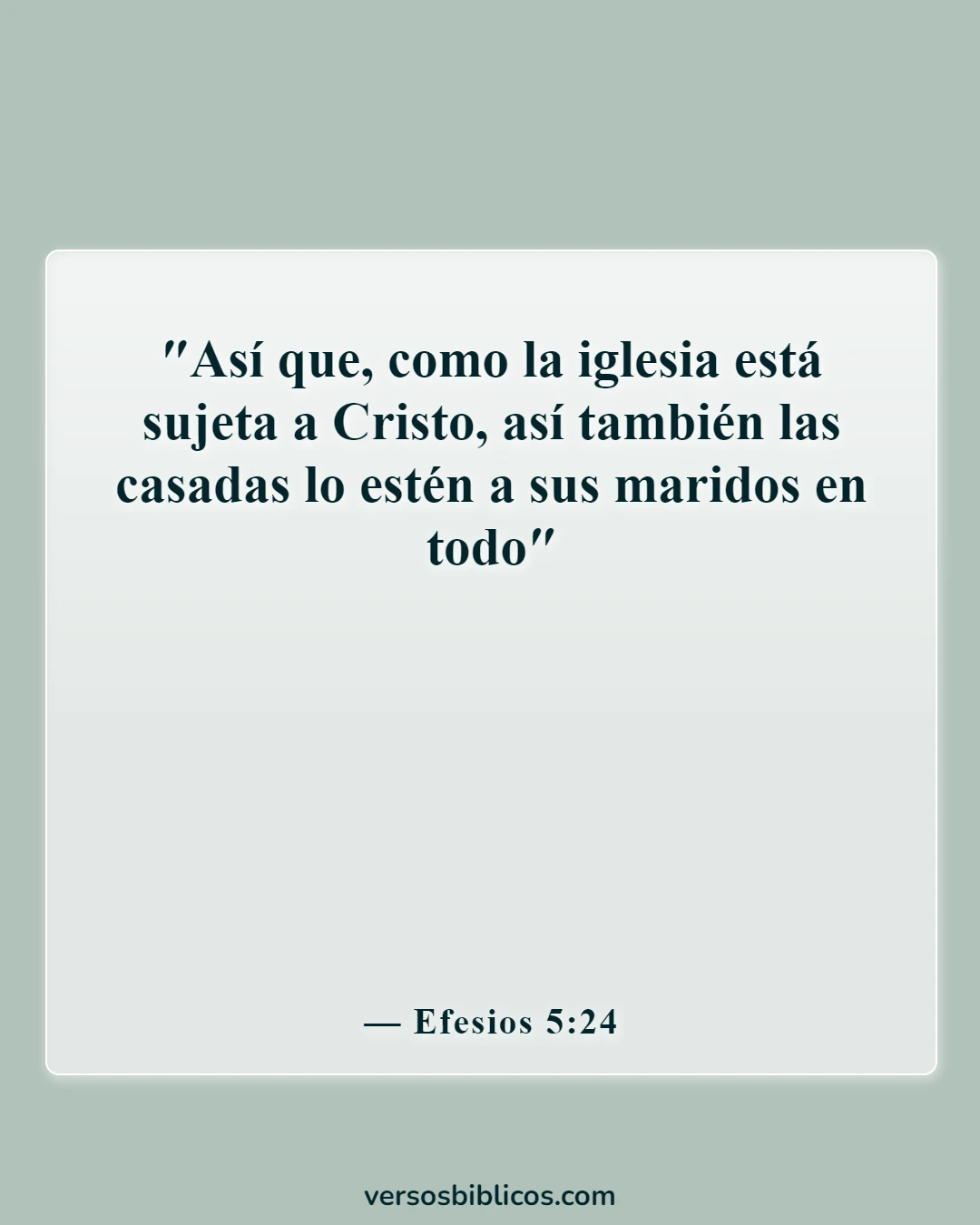 Versículos de la Biblia sobre la esposa que se somete al marido (Efesios 5:24)