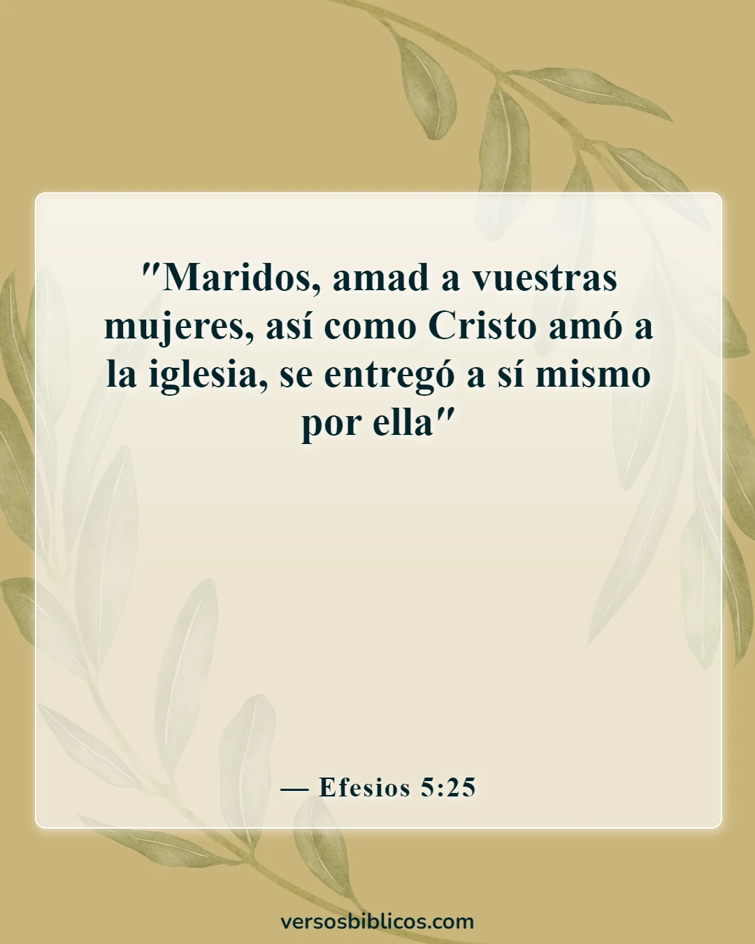 Versículos de la Biblia sobre una esposa que le falta el respeto a su marido (Efesios 5:25)