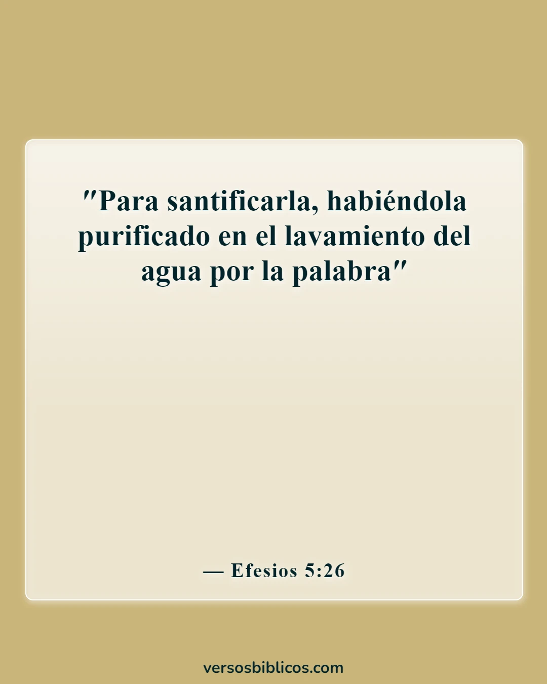 Versículos de la Biblia sobre la Palabra de Dios (Efesios 5:26)
