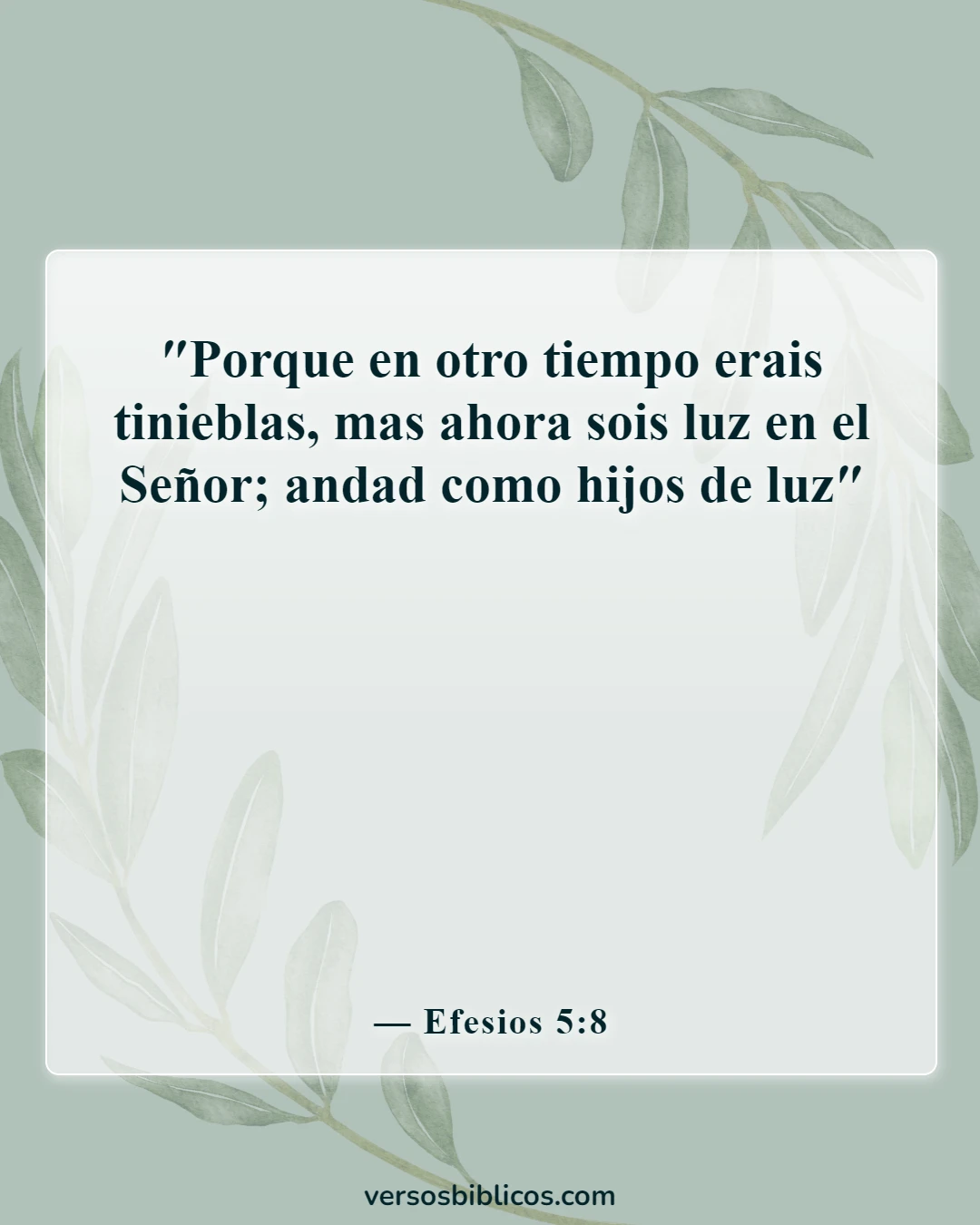 Versículos de la Biblia sobre la belleza de la santidad (Efesios 5:8)