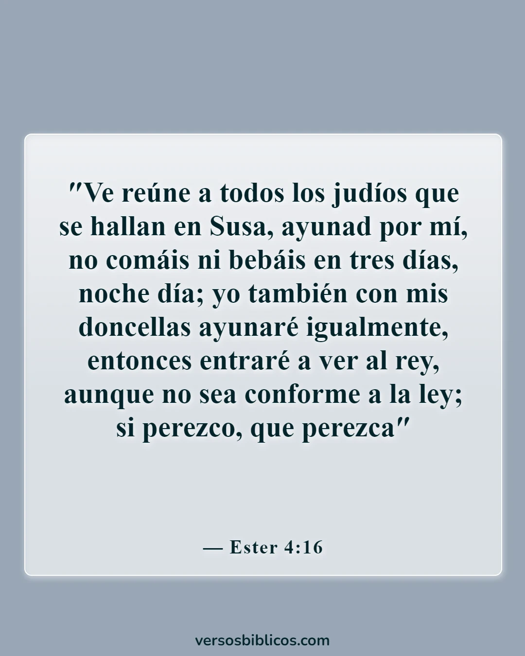 Versículos de la Biblia sobre la audacia (Ester 4:16)