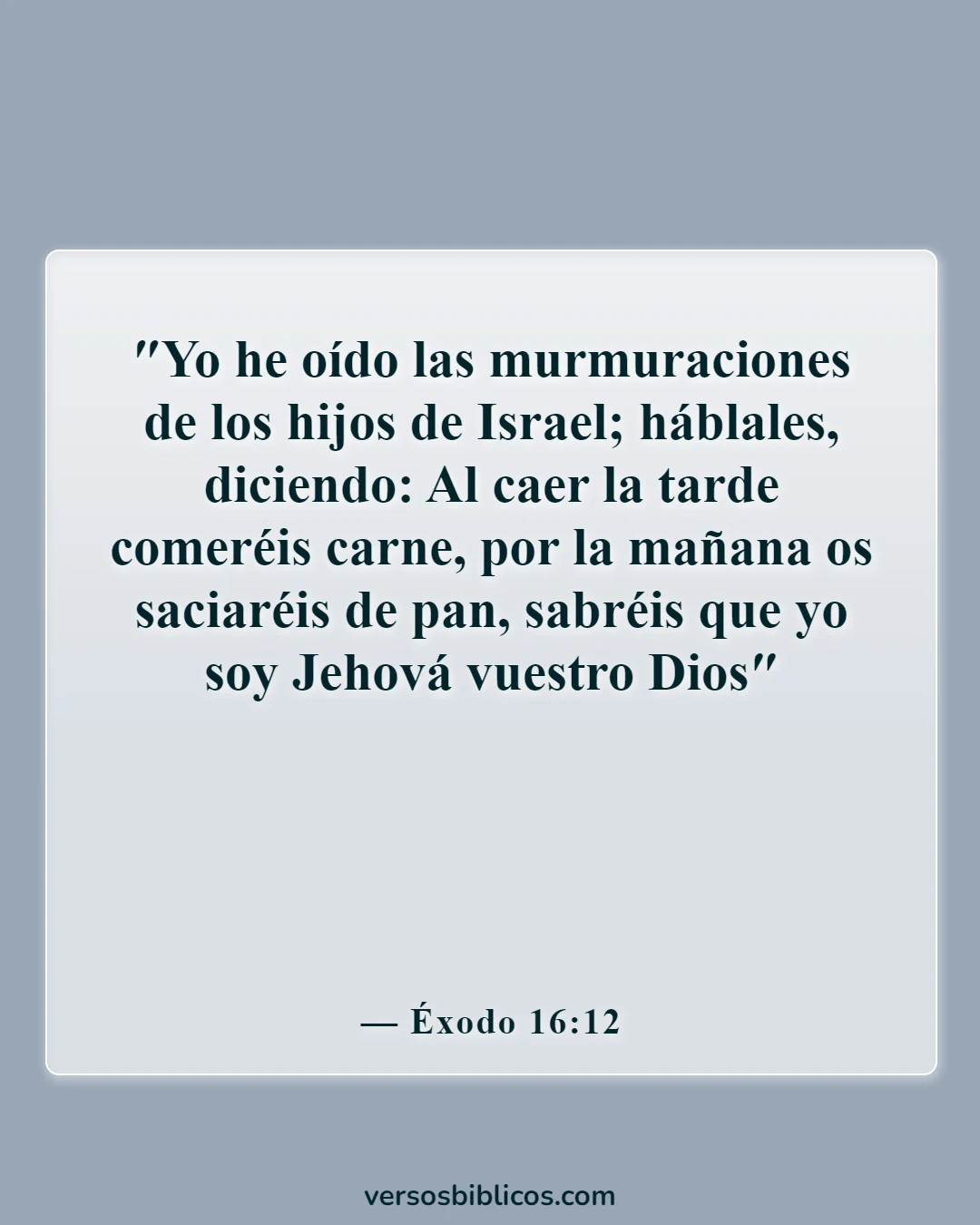 Versículos de la Biblia sobre comer y beber juntos (Éxodo 16:12)