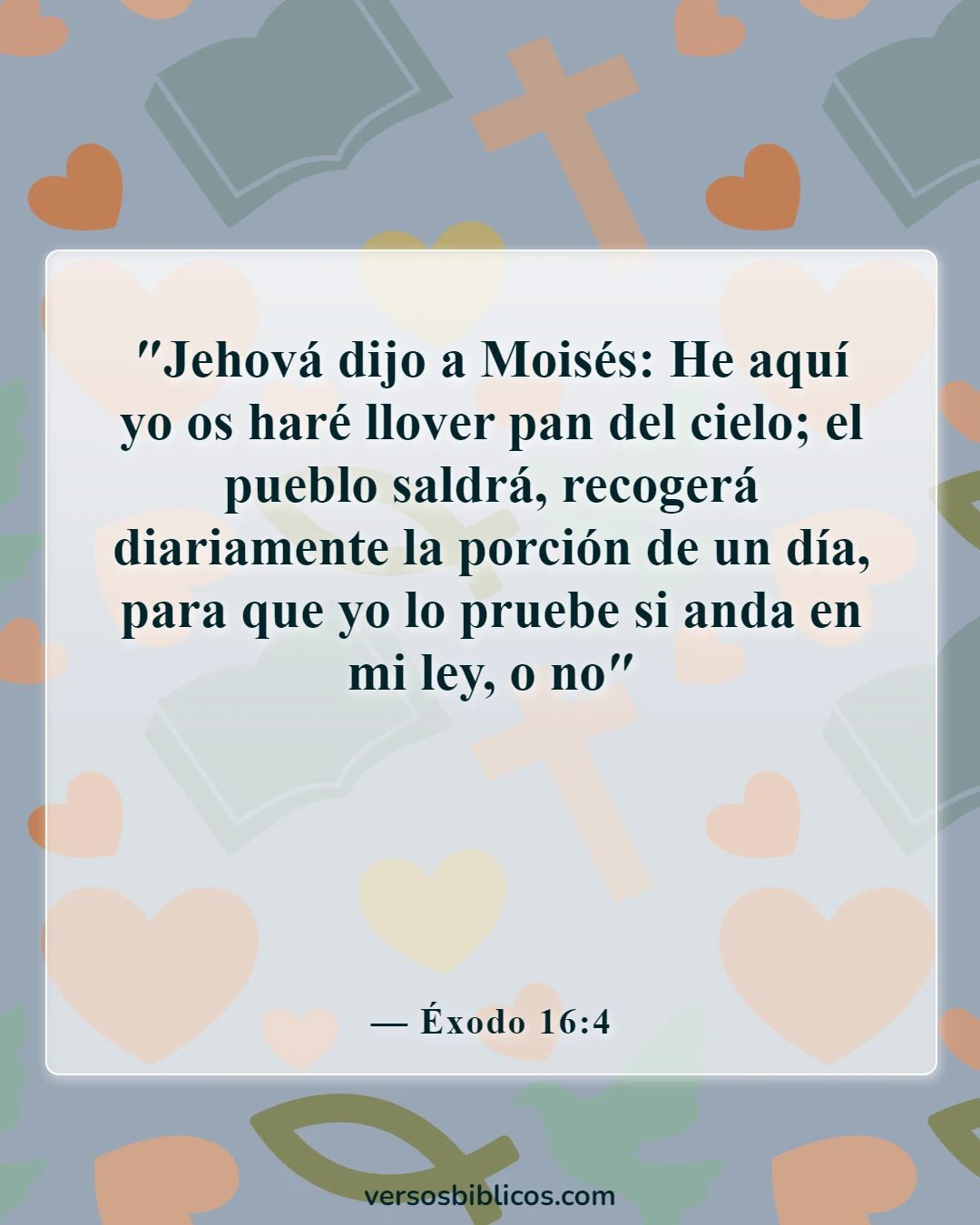 Versículos de la Biblia sobre vivir la vida más abundantemente (Éxodo 16:4)