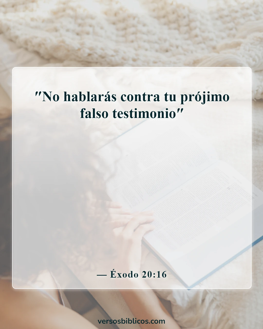 Versículos de la Biblia sobre acusar a otros (Éxodo 20:16)