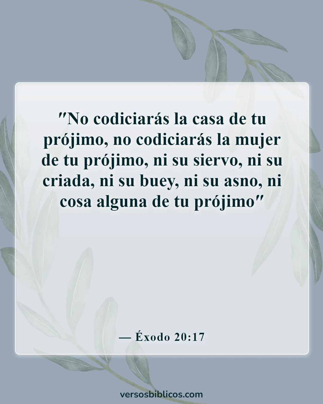 Versículos de la Biblia sobre los celos y la envidia (Éxodo 20:17)