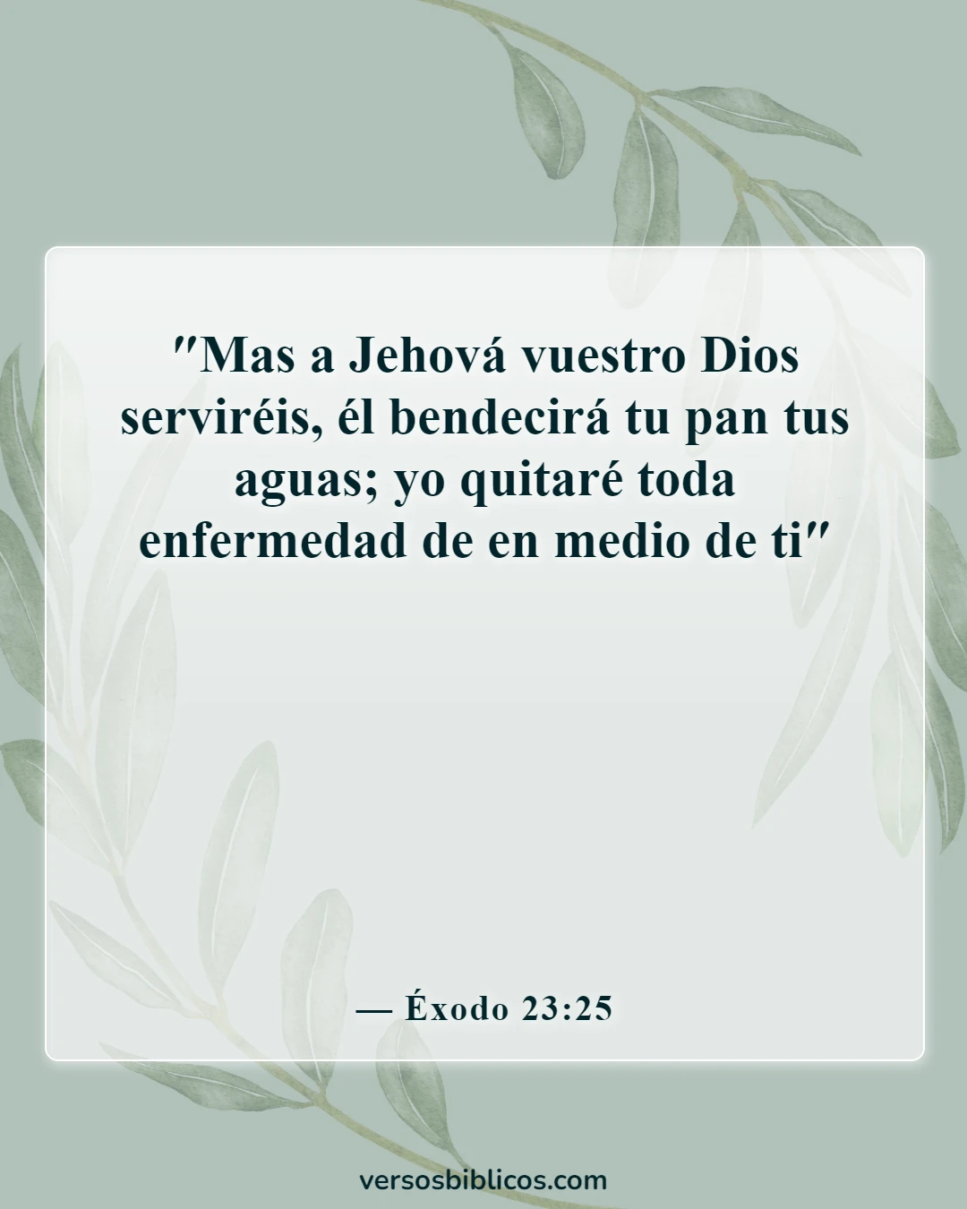 Versículos de la Biblia sobre Dios sanando a los enfermos (Éxodo 23:25)