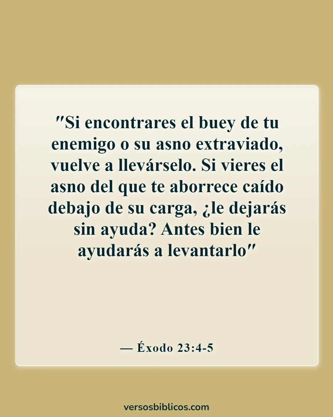 Versículos de la Biblia sobre amar al prójimo (Éxodo 23:4-5)