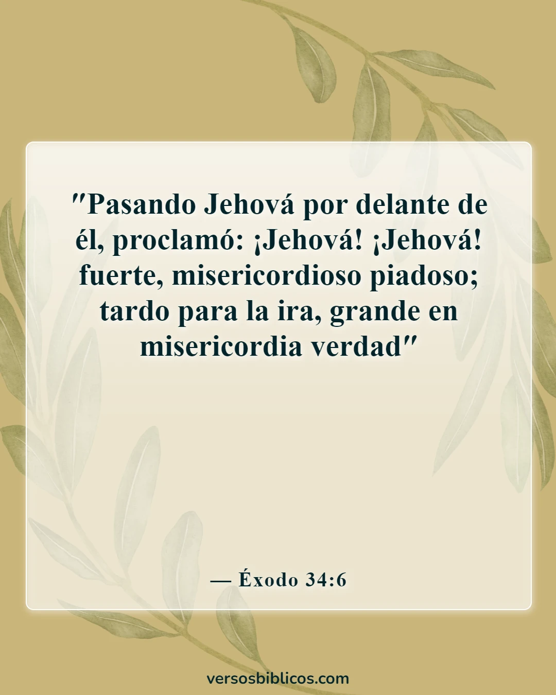 Versículos de la Biblia sobre la compasión (Éxodo 34:6)