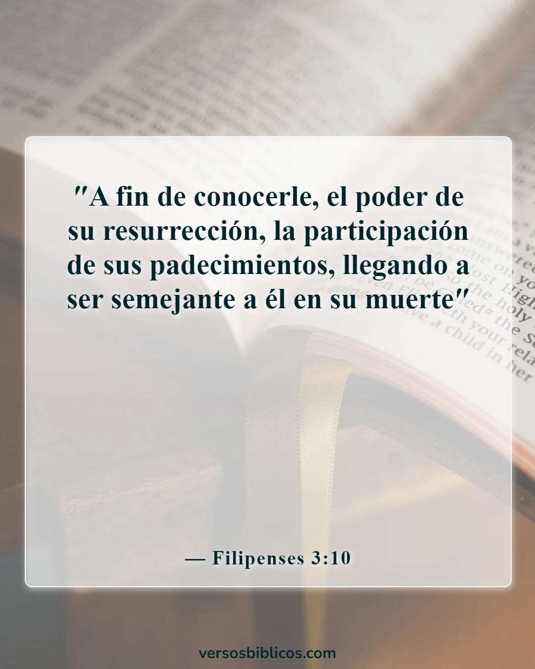 Versículos de la Biblia sobre Jesús sufriendo por nuestros pecados (Filipenses 3:10)