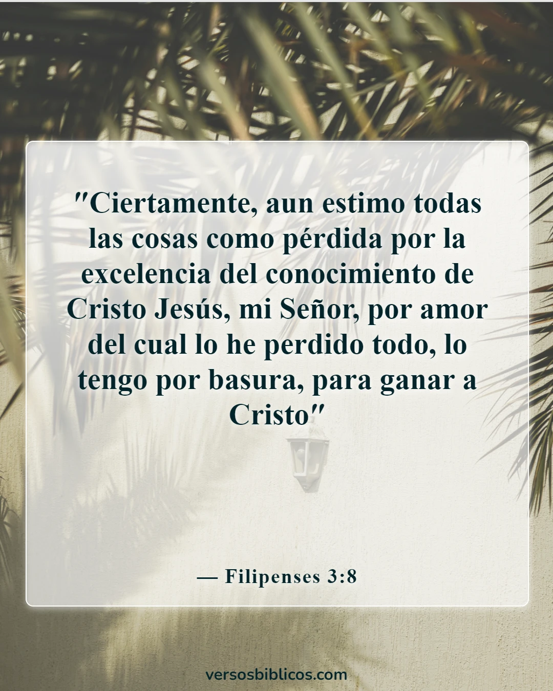 Versículos de la Biblia sobre el regocijo en las pruebas y tentaciones (Filipenses 3:8)
