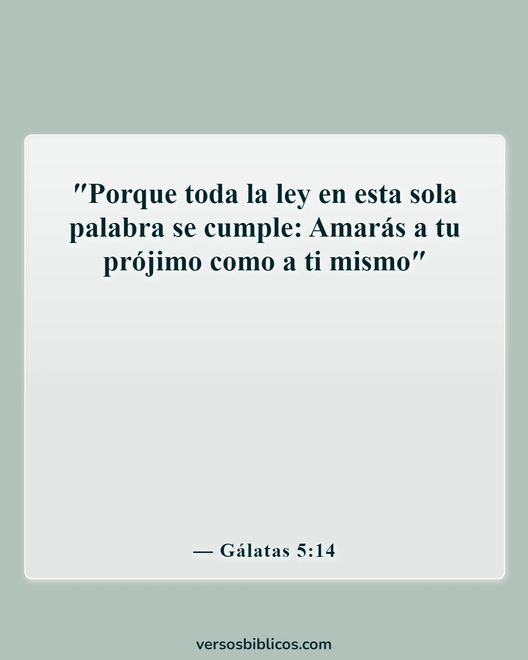 Versículos de la Biblia sobre el respeto (Gálatas 5:14)