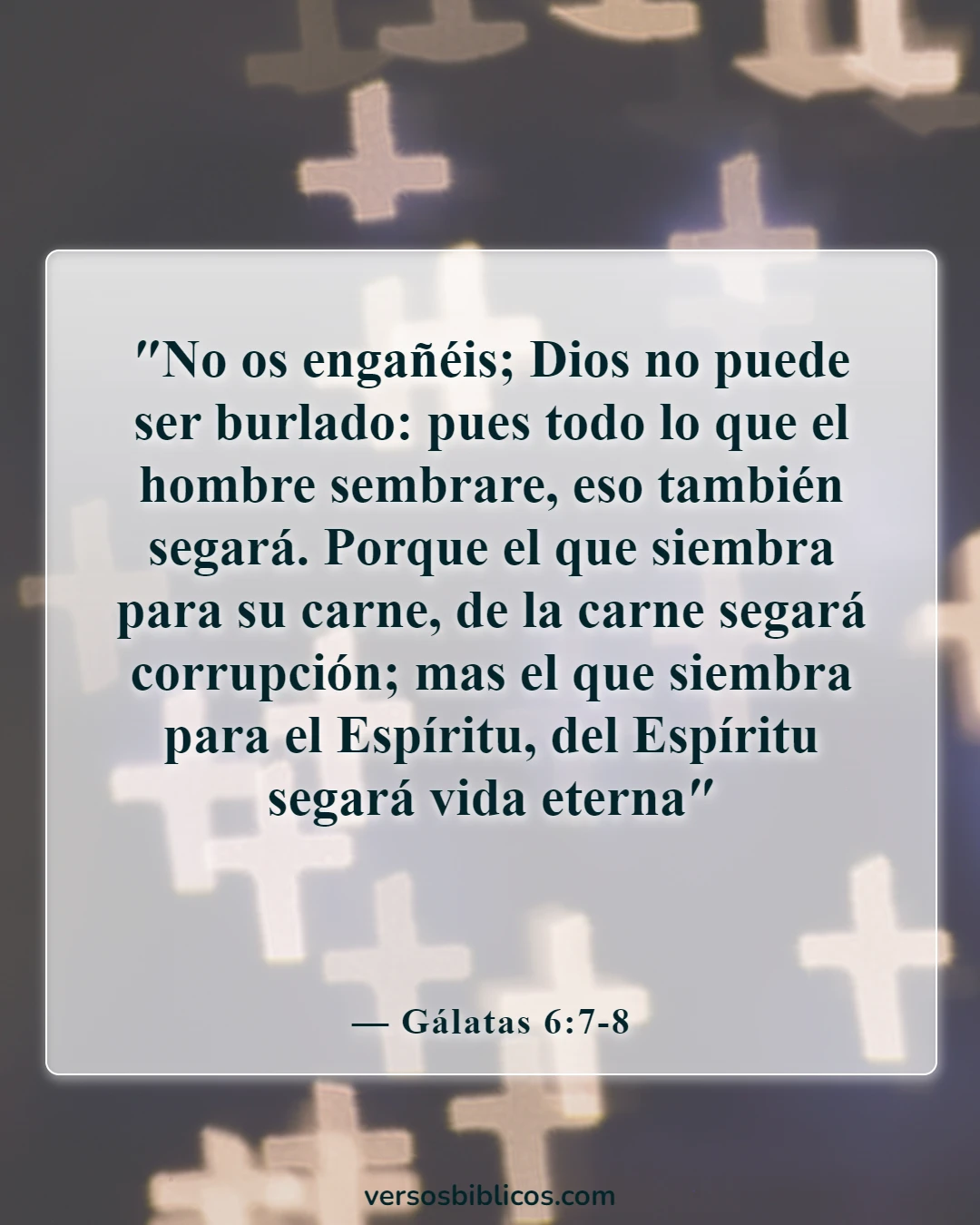 Versículos de la Biblia sobre cometer adulterio y lujuria en el corazón (Gálatas 6:7-8)