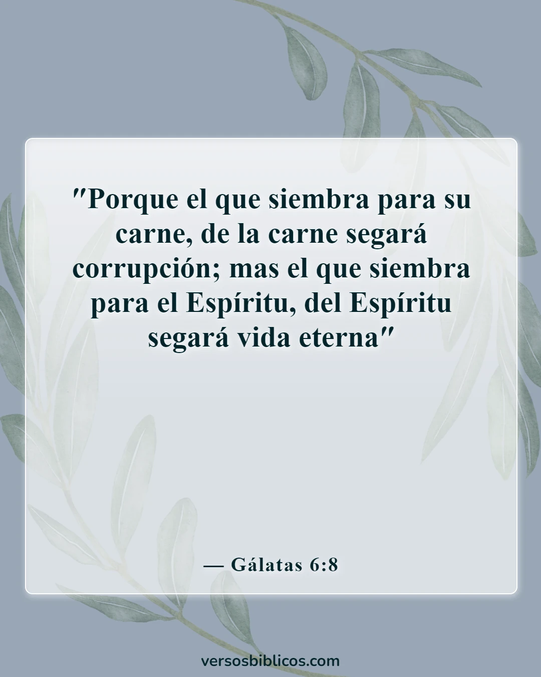Versículos de la Biblia sobre el karma (Gálatas 6:8)