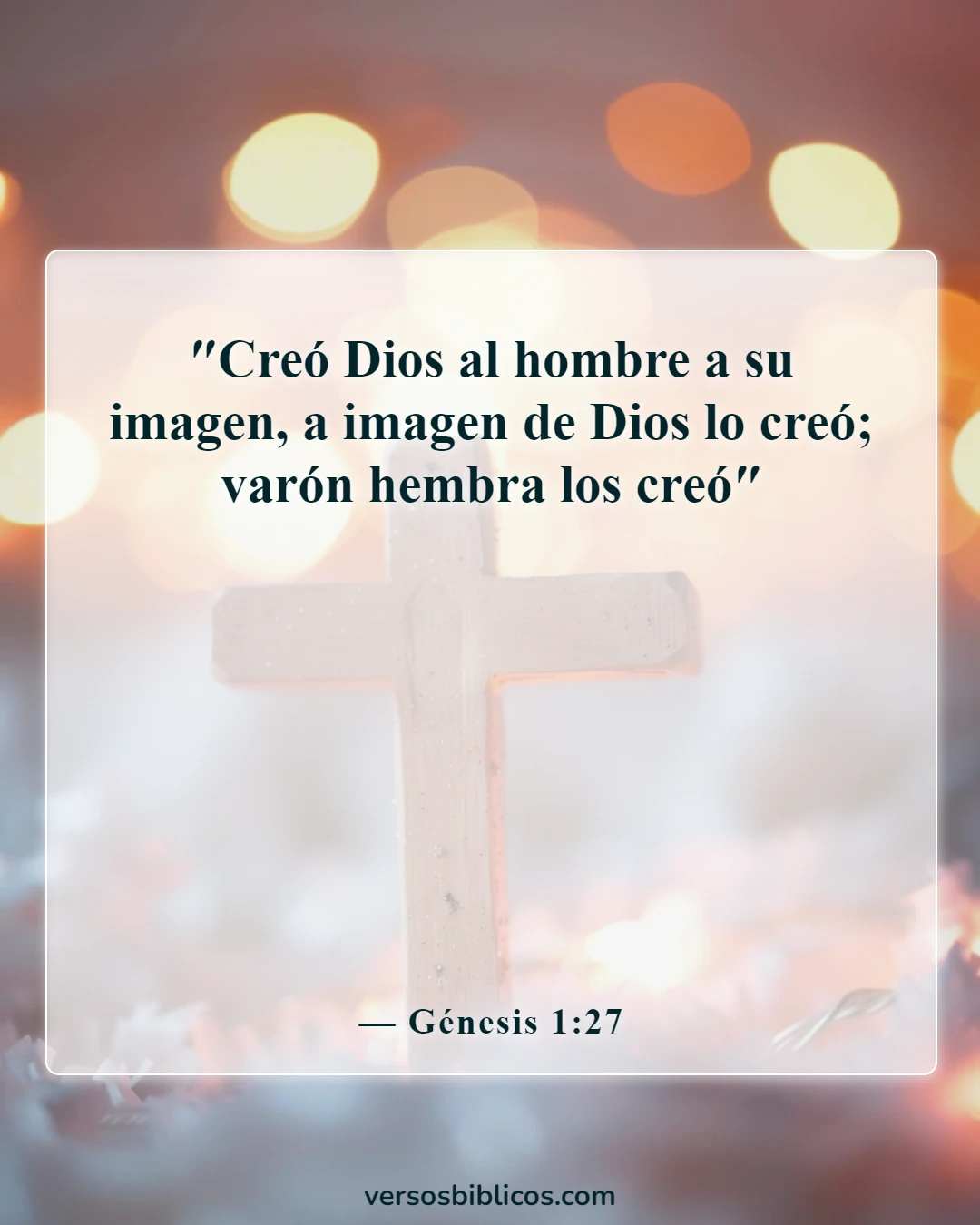Versículos de la Biblia sobre sentirse inútil (Génesis 1:27)