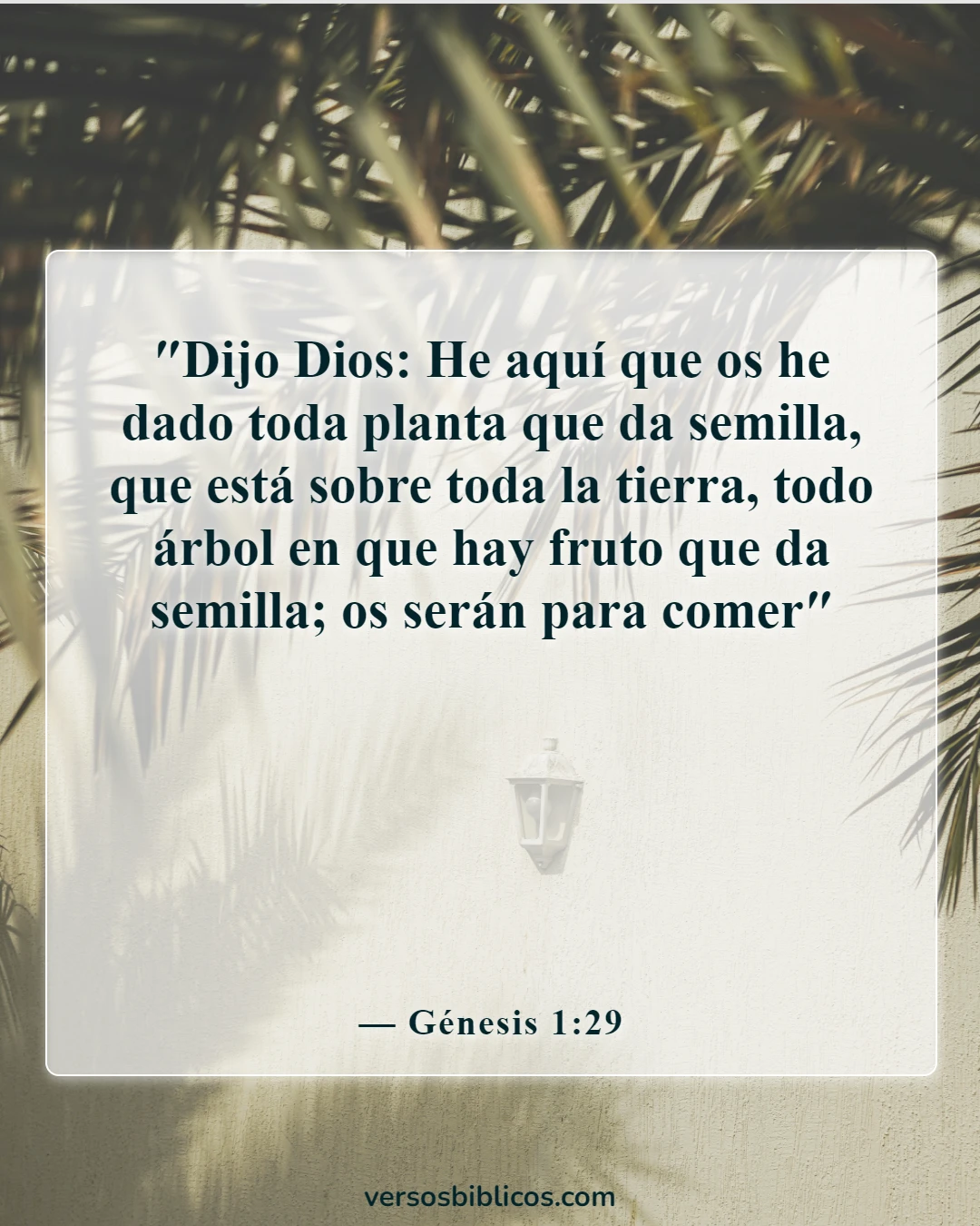 Versículos de la Biblia sobre la marihuana (Génesis 1:29)