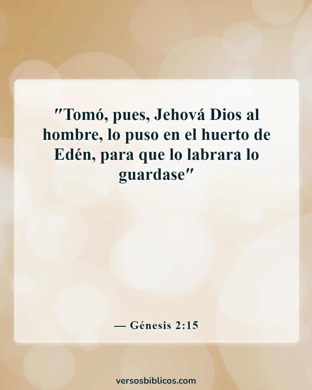 Versículos de la Biblia sobre la mujer trabajadora (Génesis 2:15)
