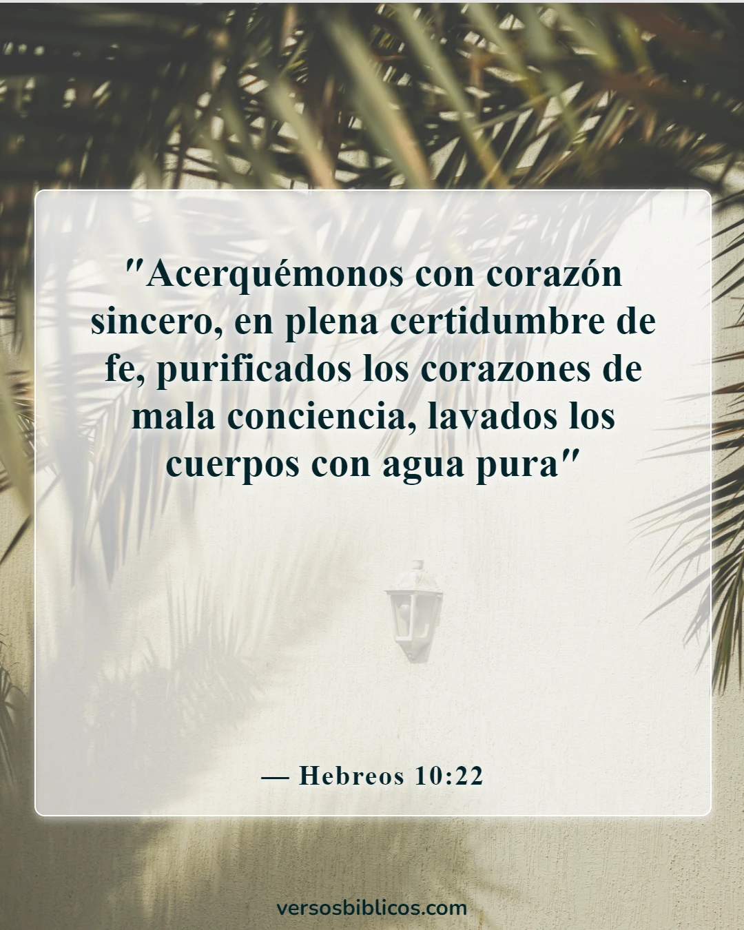 Versículos de la Biblia sobre la limpieza (Hebreos 10:22)