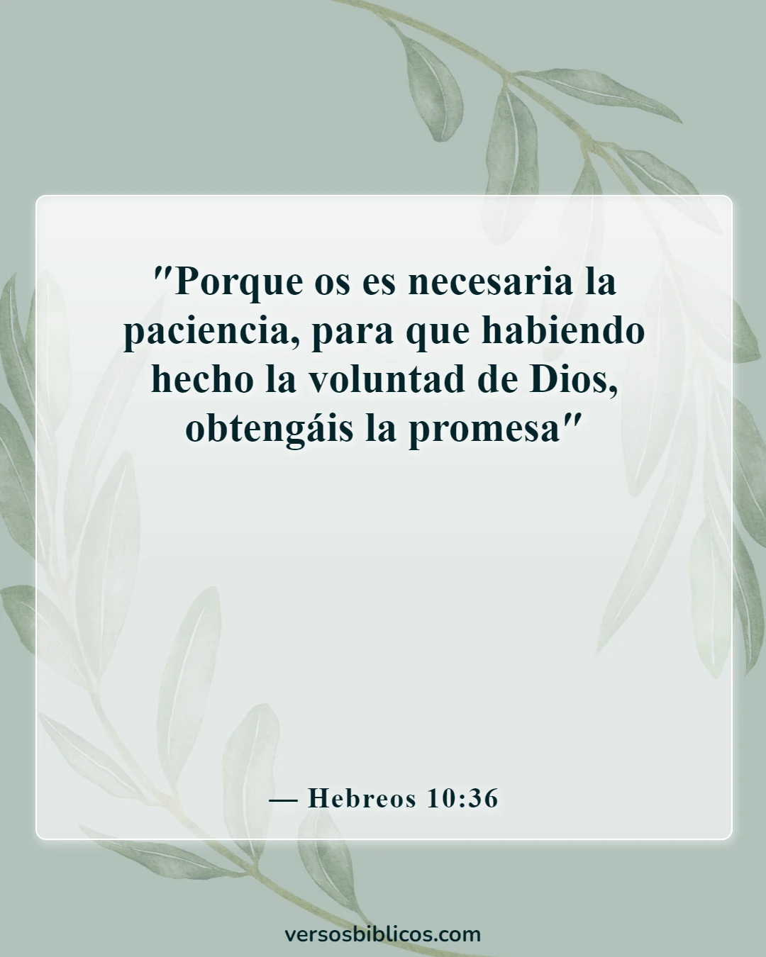 Versículos de la Biblia sobre la esperanza, la paciencia para el bien, bienaventurados (Hebreos 10:36)