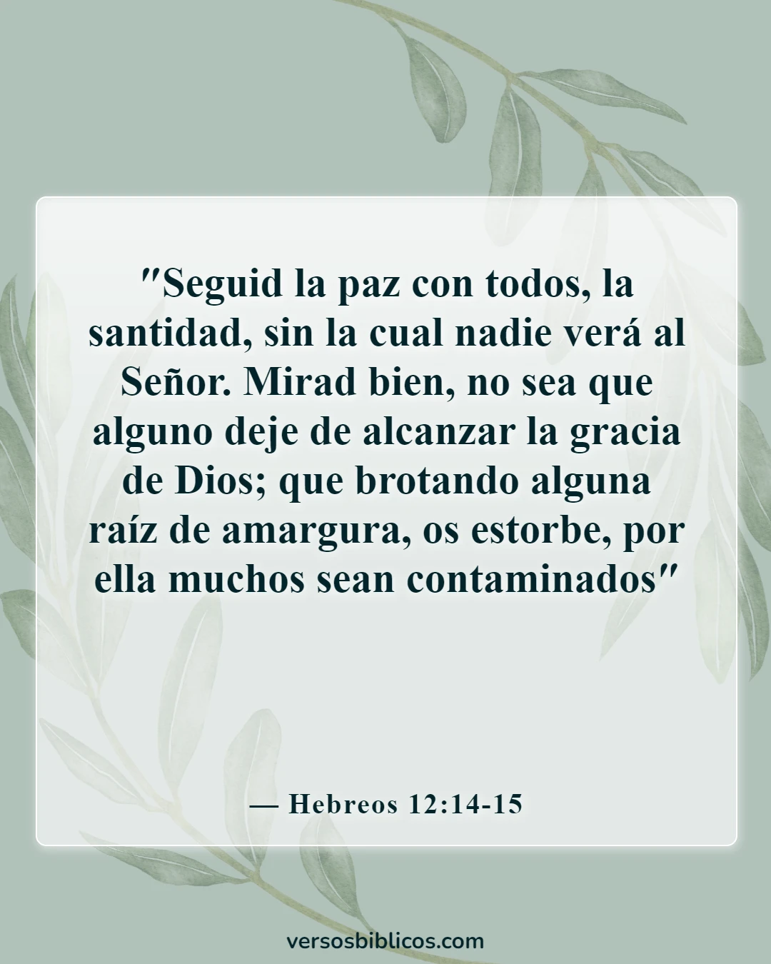Versículos de la Biblia sobre dejar atrás las heridas del pasado (Hebreos 12:14-15)