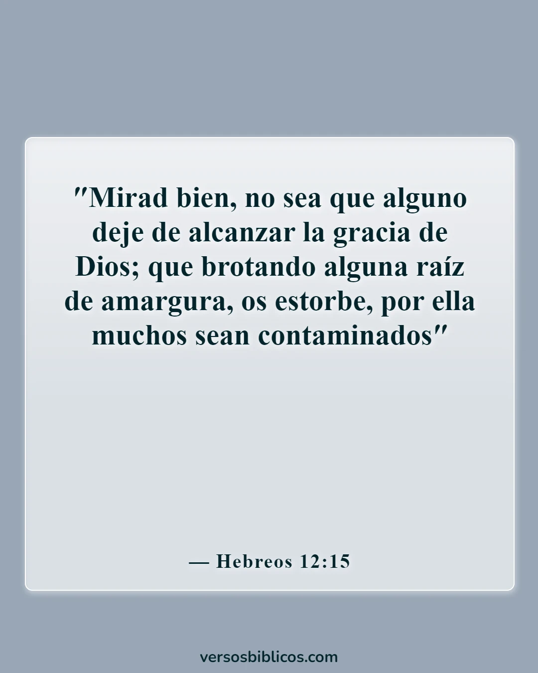 Versículos de la Biblia sobre alguien que te hace mal (Hebreos 12:15)