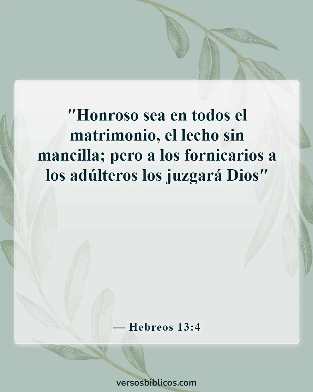 Versículos de la Biblia sobre Masterbation (Hebreos 13:4)