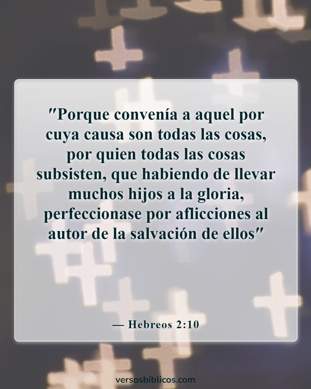 Versículos de la Biblia sobre por qué Dios permite que sucedan cosas malas (Hebreos 2:10)