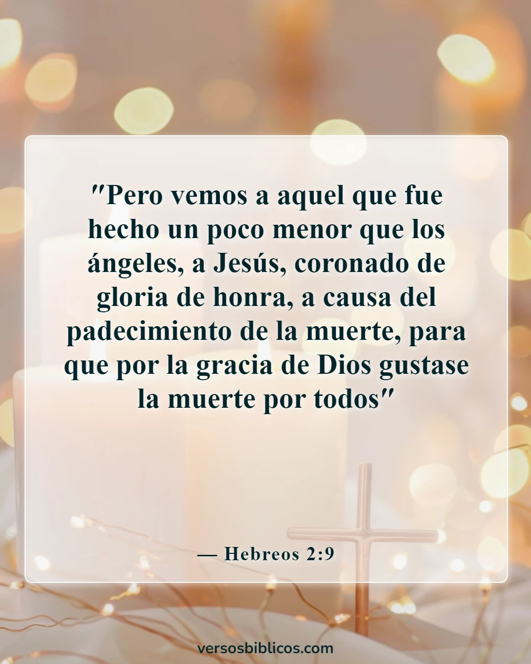 Versículos de la Biblia sobre Dios es humilde (Hebreos 2:9)