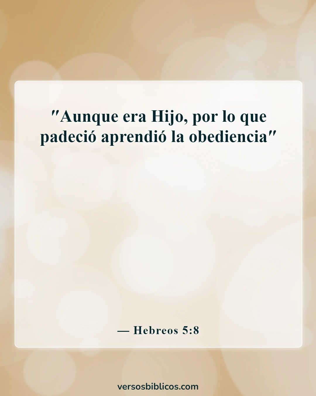 Versículos de la Biblia sobre los sufrimientos de Jesús (Hebreos 5:8)
