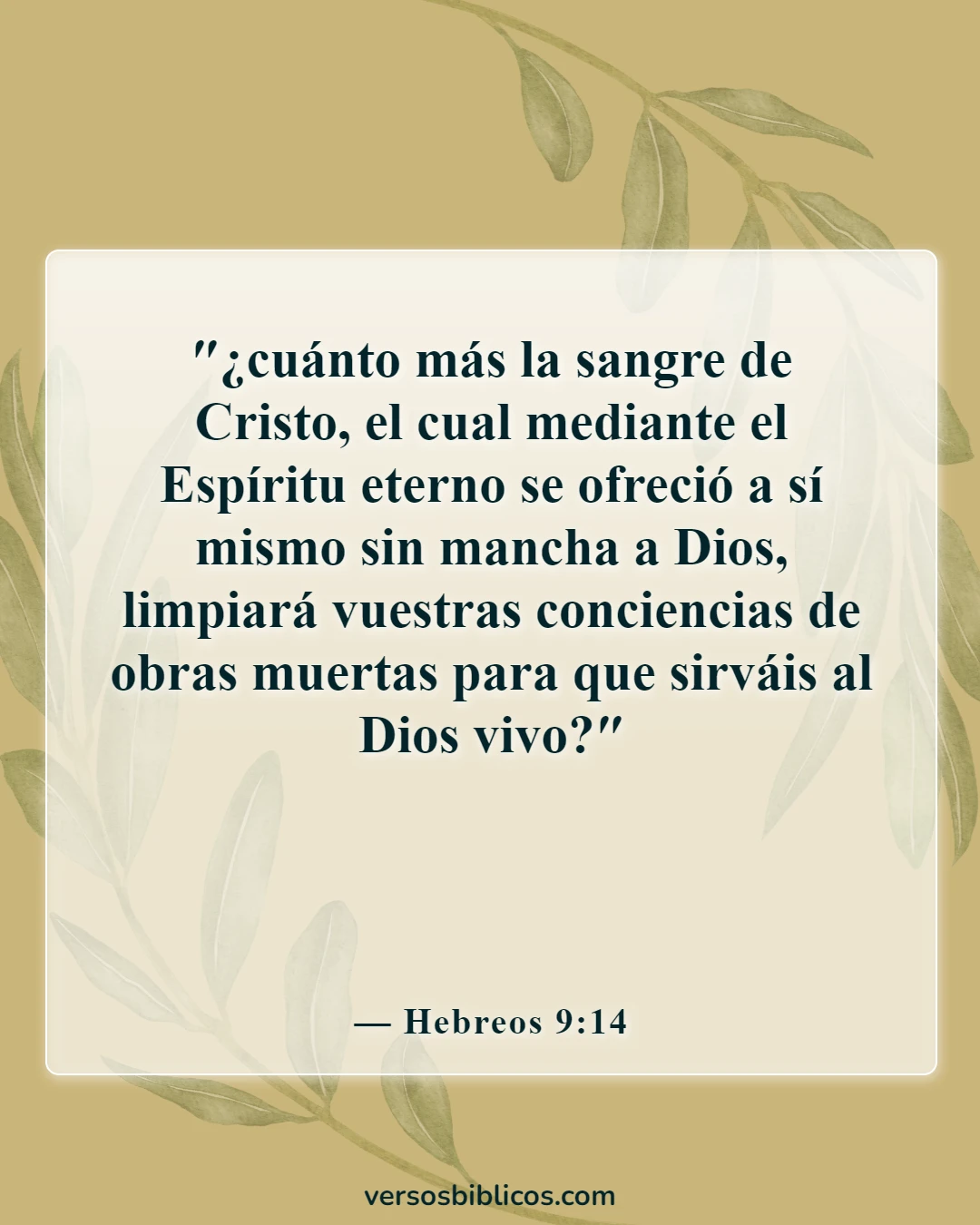 Versículos de la Biblia sobre la limpieza (Hebreos 9:14)
