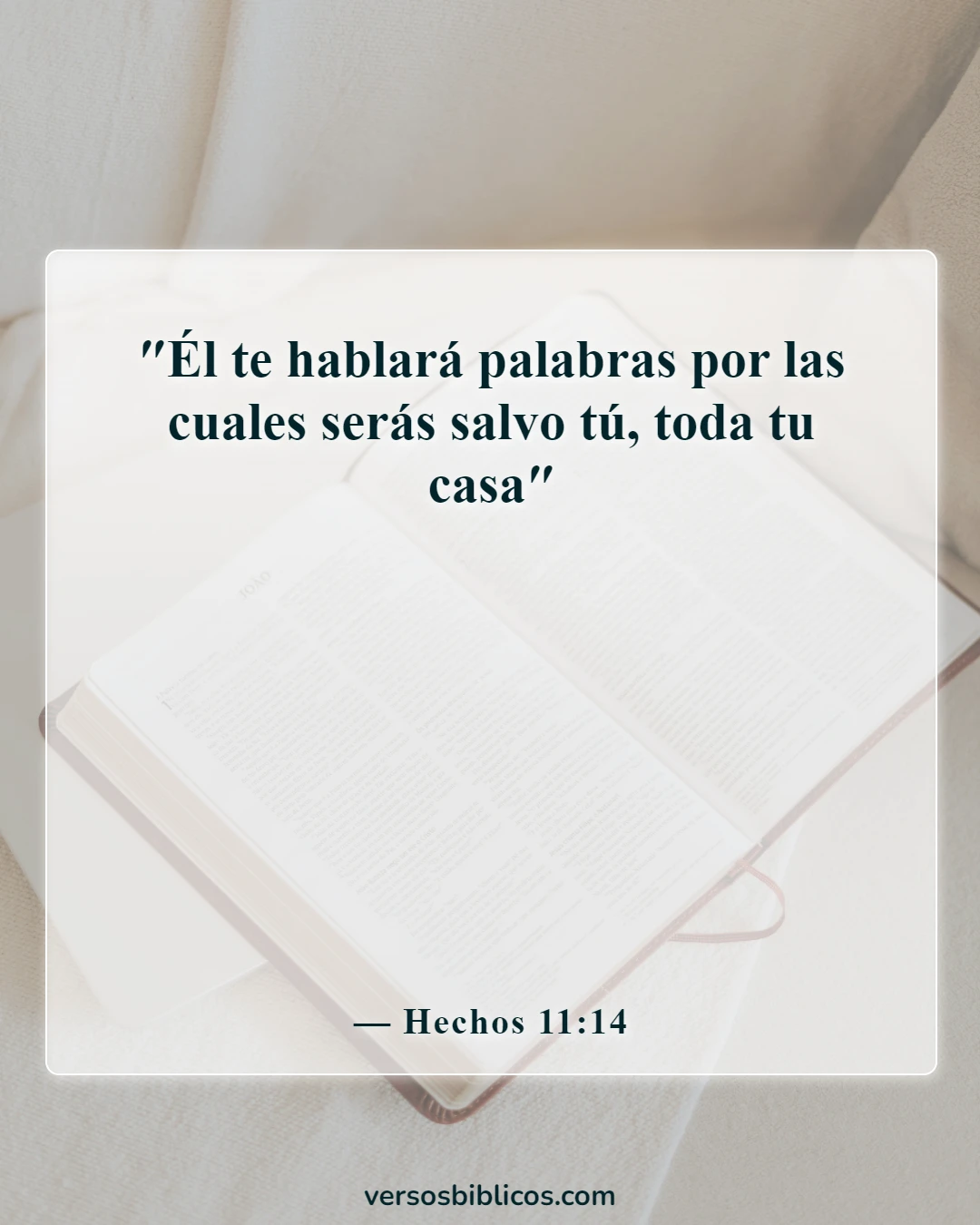 Versículos de la Biblia sobre el bautismo infantil (Hechos 11:14)